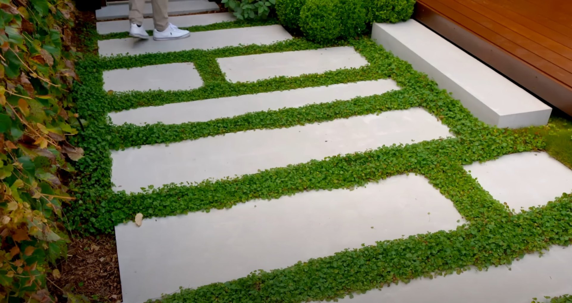 Professional sod installation and landscape design services Clean geometric pathway with green grass borders and modern landscaping