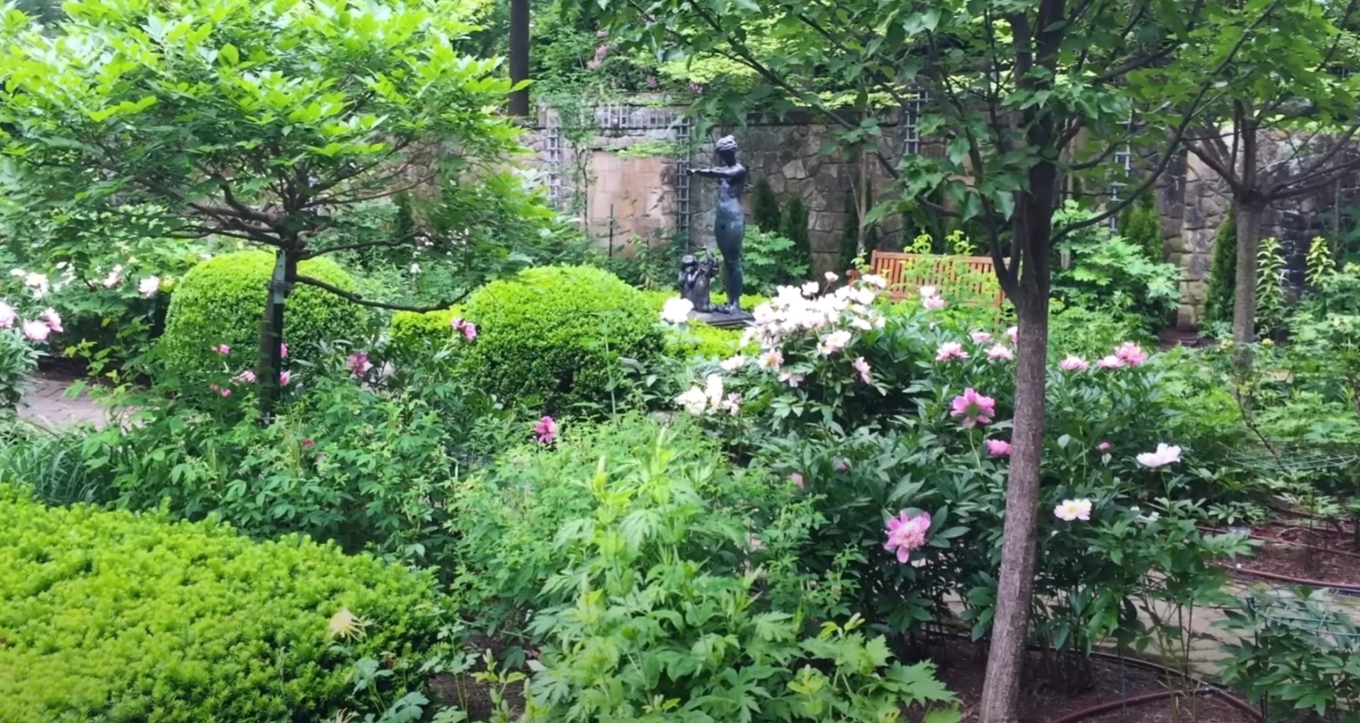 Established landscape featuring mature plantings and stone hardscaping elements Lush garden landscape with mature trees, flowering peonies, decorative stone walls, and professional landscape maintenance